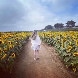 Meet your Posher, Jill